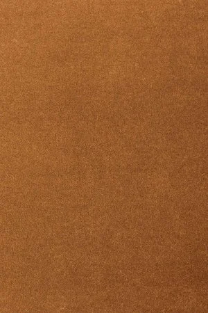 Ковровое покрытие AW Oinone 84 - (5м) в Сыктывкаре