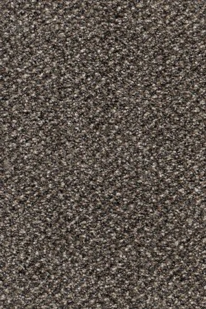 Ковровое покрытие AW Stainaway Tweed 96 - (4м) в Сыктывкаре