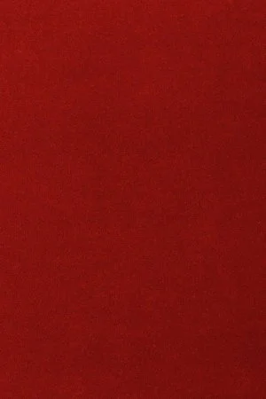 Ковровое покрытие AW Oinone 10 - (5м) в Сыктывкаре