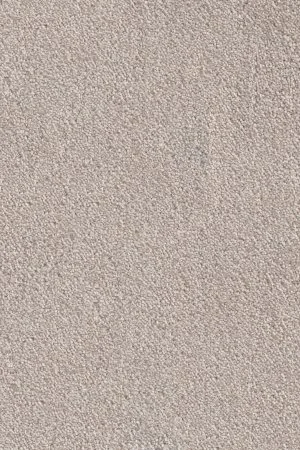 Ковровое покрытие AW Messalina 37 - (5м) в Сыктывкаре