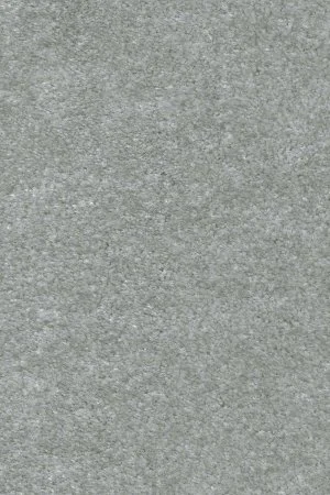 Ковровое покрытие AW Euphoria 75 - (5м) в Сыктывкаре