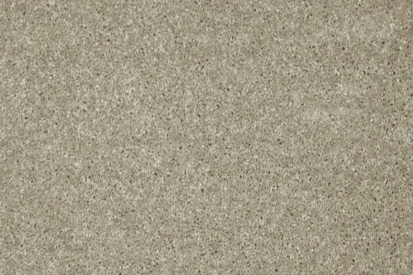 Ковровое покрытие AW Gala 03 - (4м) в Сыктывкаре