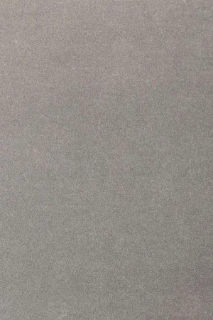 Ковровое покрытие AW Oinone 94 - (4м) в Сыктывкаре