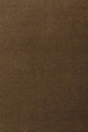 Ковровое покрытие AW Oinone 44 - (5м) в Сыктывкаре