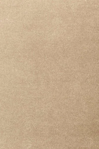 Ковровое покрытие AW Oinone 36 - (4м) в Сыктывкаре