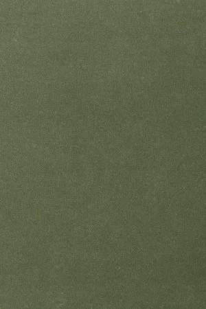 Ковровое покрытие AW Oinone 24 - (5м) в Сыктывкаре