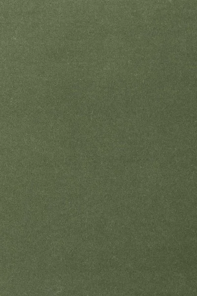 Ковровое покрытие AW Oinone 24 - (4м) в Сыктывкаре