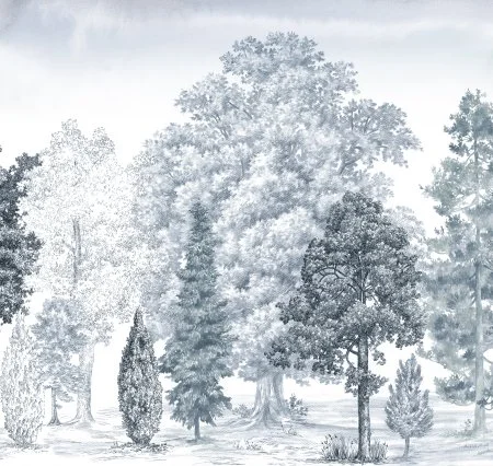 Обои Loymina Пейзаж vol. 2 ART14 006 в Сыктывкаре