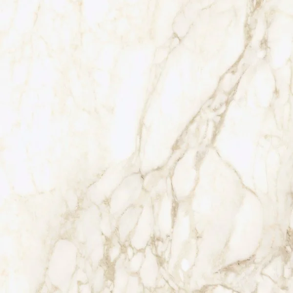 Керамогранит Coliseum Микеланджело Ворм 60х60 (Натуральный и Реттифицированный) в Сыктывкаре