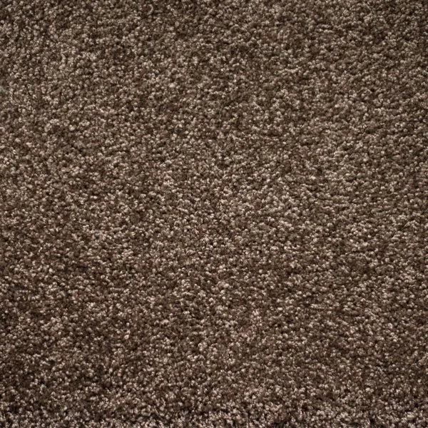 Ковровое покрытие Zartex Tesoro 156 Коричневый - 4 м в Сыктывкаре