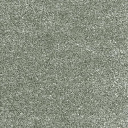 Ковровое покрытие AW Euphoria 28 - (5м) в Сыктывкаре