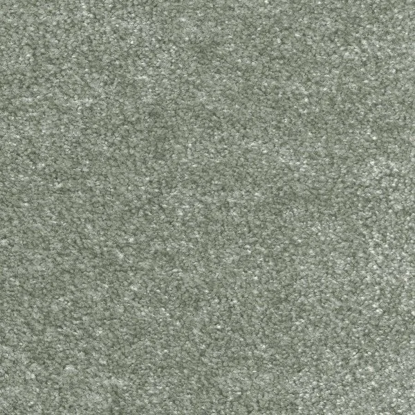 Ковровое покрытие AW Euphoria 28 - (5м) в Сыктывкаре