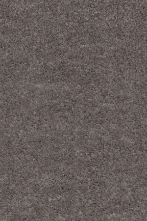 Ковровое покрытие AW Euphoria 45 - (5м) в Сыктывкаре