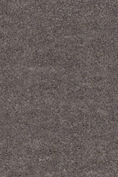 Ковровое покрытие AW Euphoria 45 - (4м) в Сыктывкаре