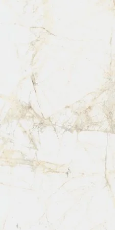 Керамогранит Coliseum Канова Уайт 60х120 (Натуральный и Реттифицированный) в Сыктывкаре