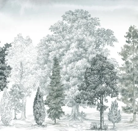 Обои Loymina Пейзаж vol. 2 ART14 011 в Сыктывкаре