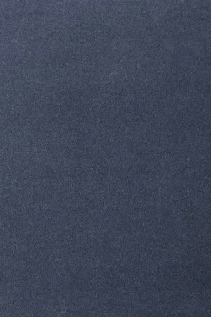 Ковровое покрытие AW Oinone 78 - (5м) в Сыктывкаре