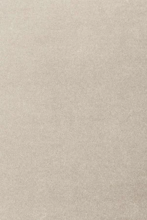 Ковровое покрытие AW Oinone 39 - (5м) в Сыктывкаре