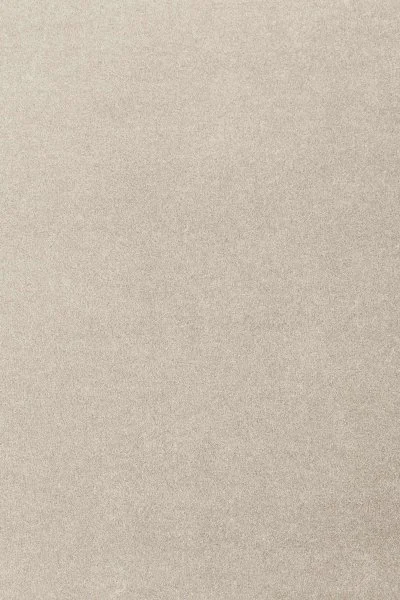 Ковровое покрытие AW Oinone 39 - (4м) в Сыктывкаре