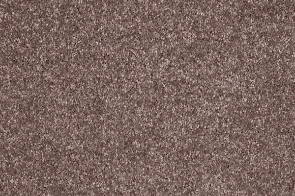 Ковровое покрытие AW Gala 60 - (5м) в Сыктывкаре