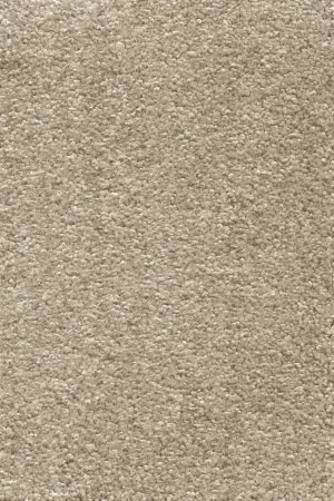 Ковровое покрытие AW Omnia 33 - (4м) в Сыктывкаре