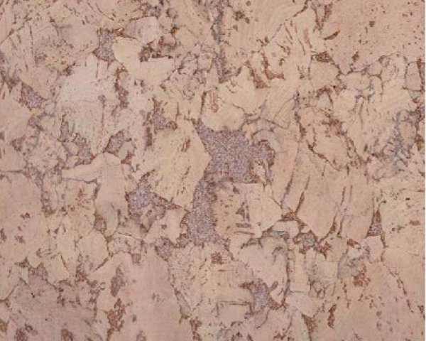 Настенное пробковое покрытие CorkArt PW 324 NK в #REGION_NAME_DECLINE_PP#